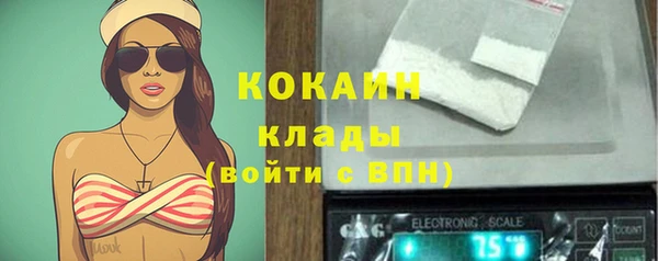 твердый Алексеевка