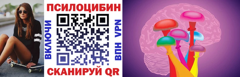 закладка  Ревда  Псилоцибиновые грибы мицелий 
