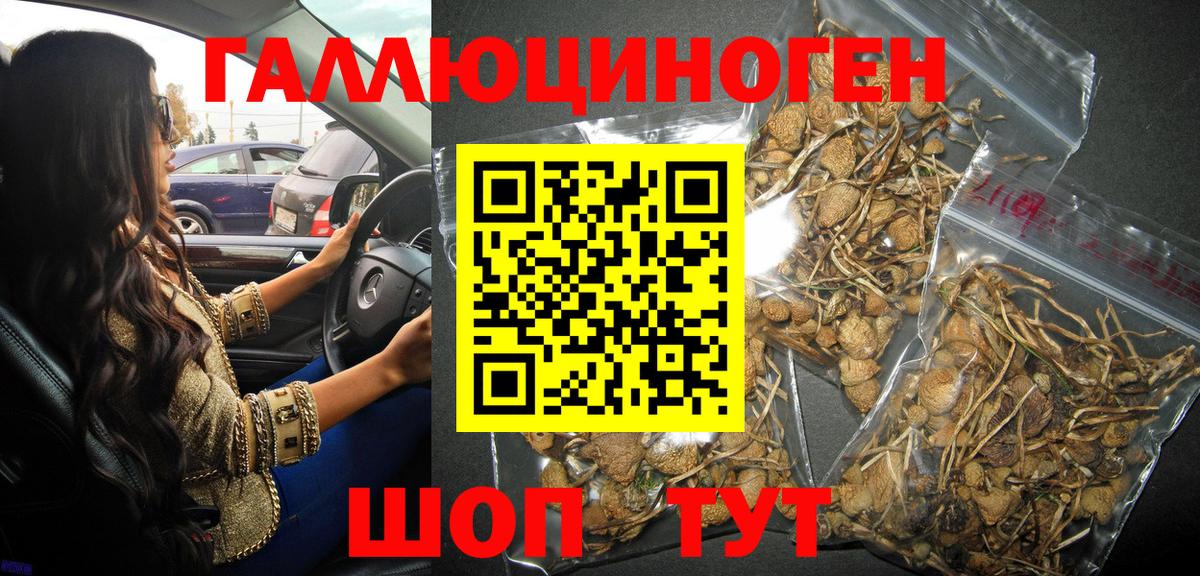 Псилоцибиновые грибы Psilocybe  Галлюциногенные грибы прущие грибы  Вход с VPN  Ревда 